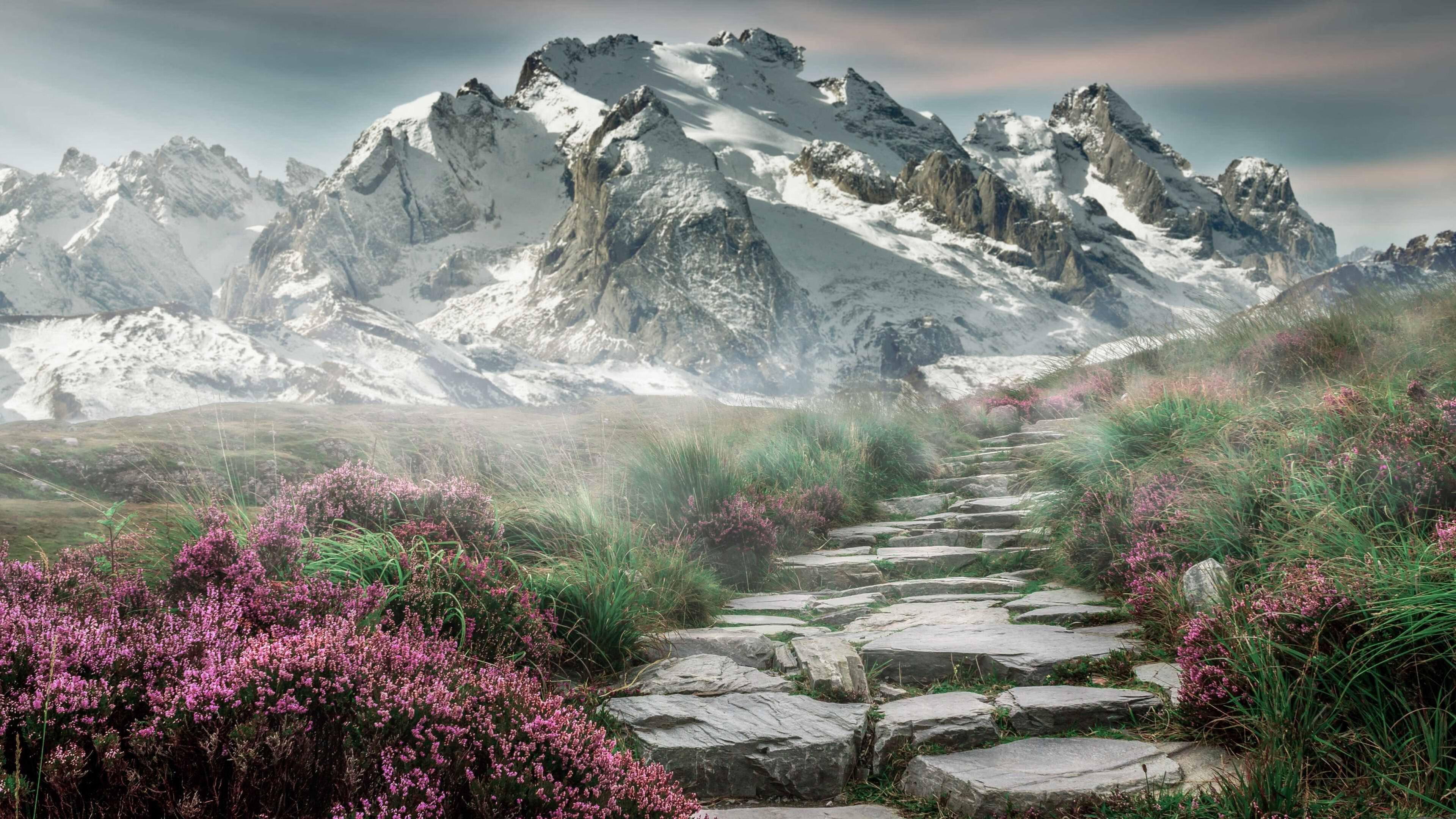 v7.2.5 优化版发布，2026年4月26日，开启智能效率新纪元